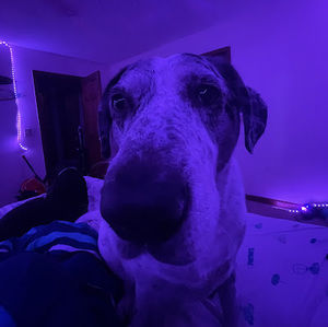 Meet your Posher, Brenden